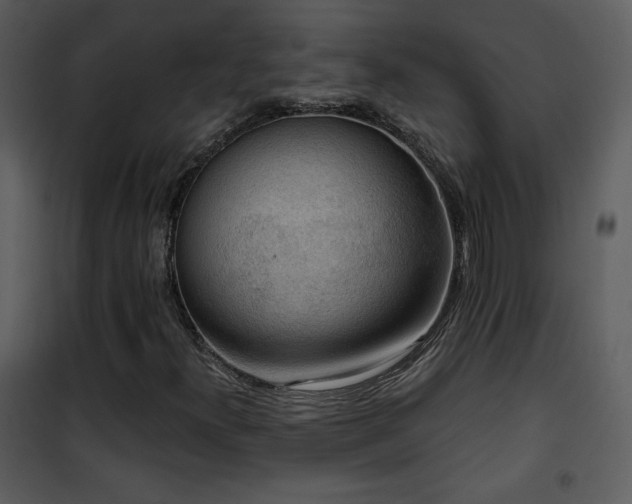 X0000102001300200807181155