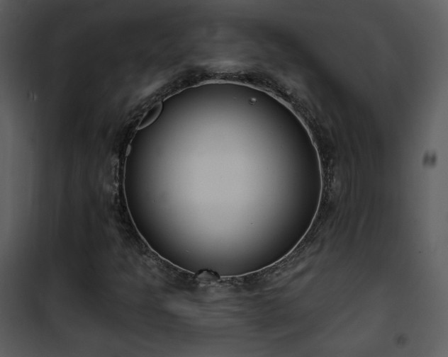 X0000102001301200807181155