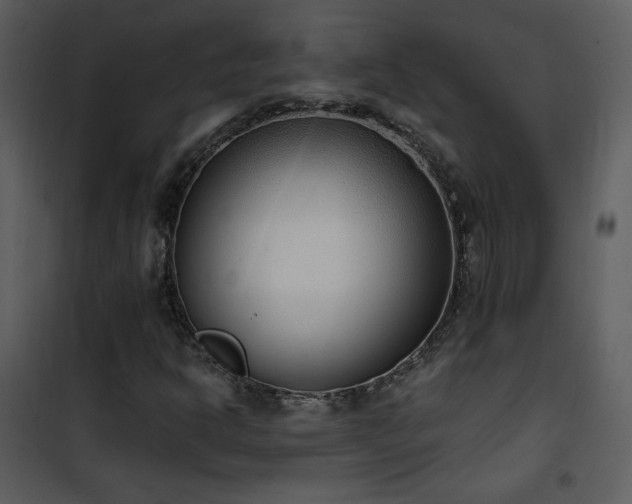 X0000102001302200807181155