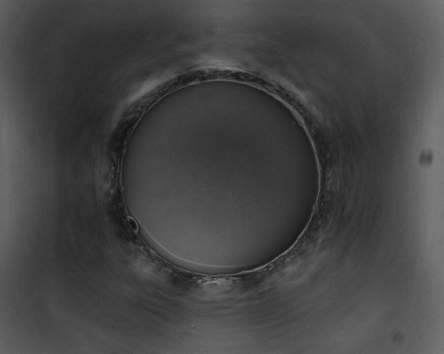 X0000102001303200807181155