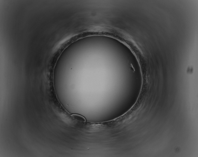 X0000102001304200807181155