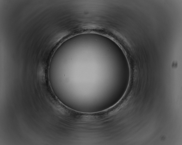 X0000102001305200807181155