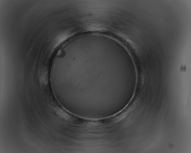 X0000102001306200807181155