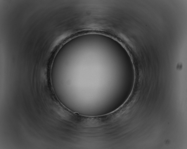 X0000102001307200807181155