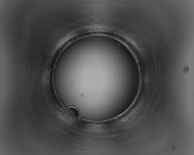 X0000102001309200807181155