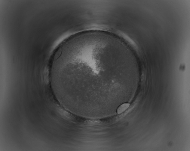 X0000102001310200807181155