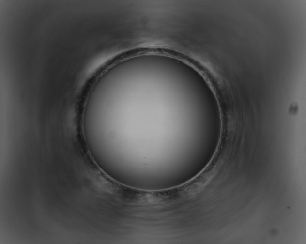 X0000102001311200807181155