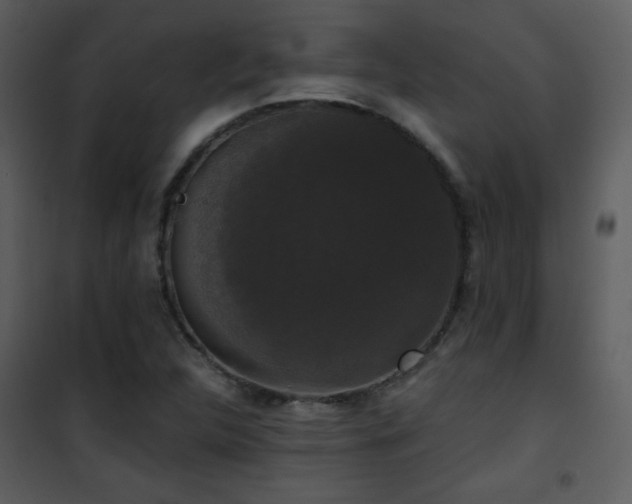 X0000102001312200807181155