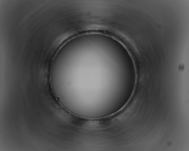 X0000102001313200807181155