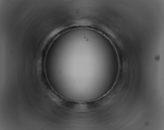 X0000102001315200807181155