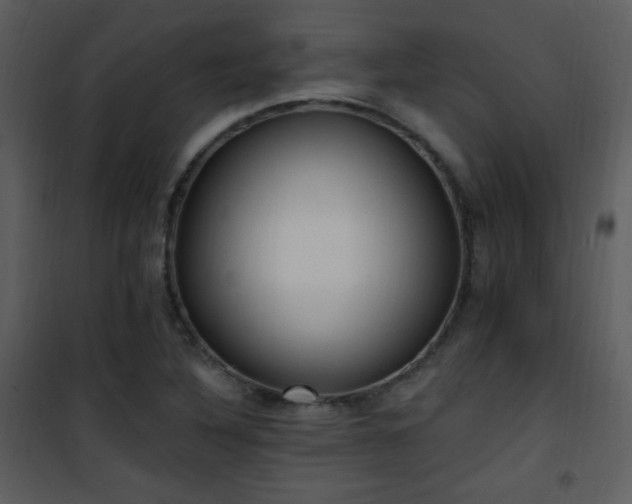 X0000102001316200807181155