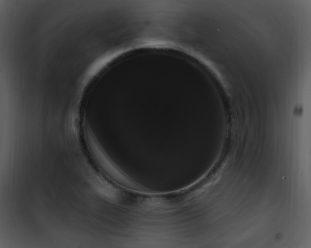 X0000102001319200807181155