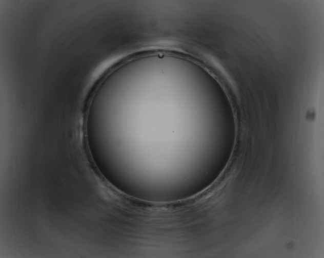 X0000102001320200807181155