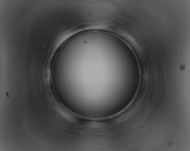 X0000102001324200807181155