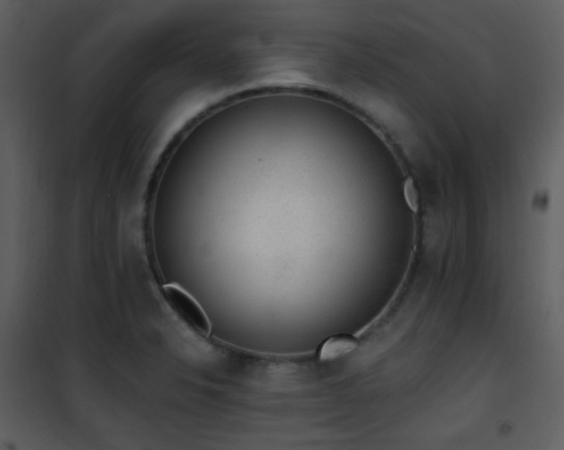 X0000102001326200807181155