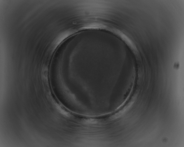 X0000102001329200807181155