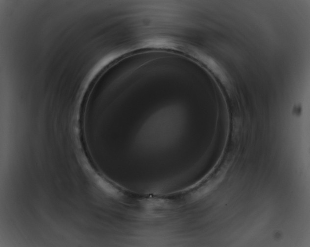 X0000102001331200807181155