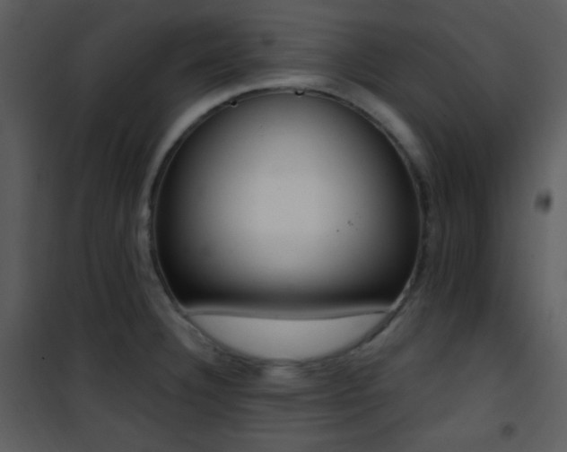 X0000102001332200807181155