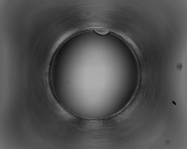 X0000102001333200807181155