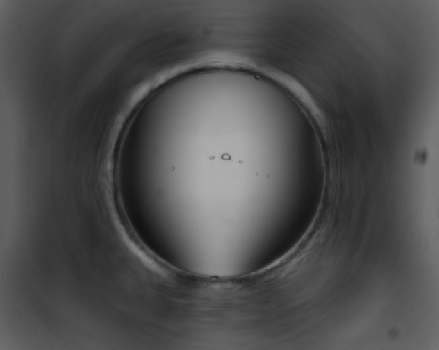 X0000102001335200807181156