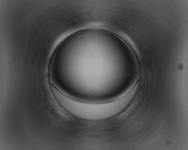 X0000102001336200807181156