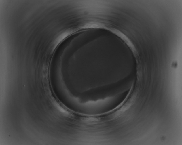 X0000102001337200807181156