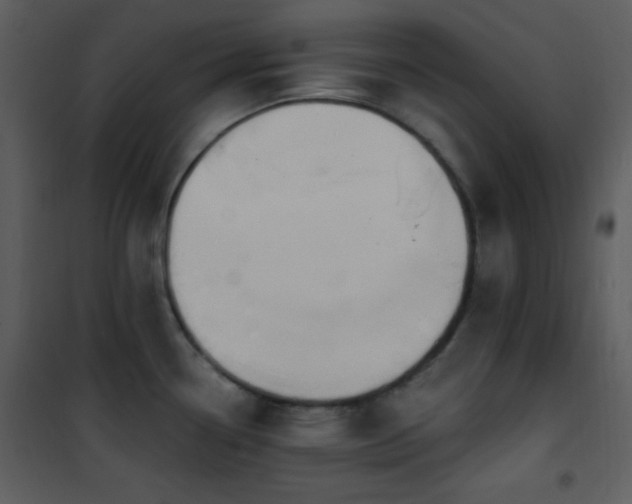 X0000102001338200807181156