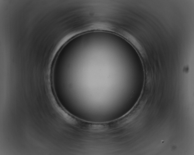 X0000102001339200807181156