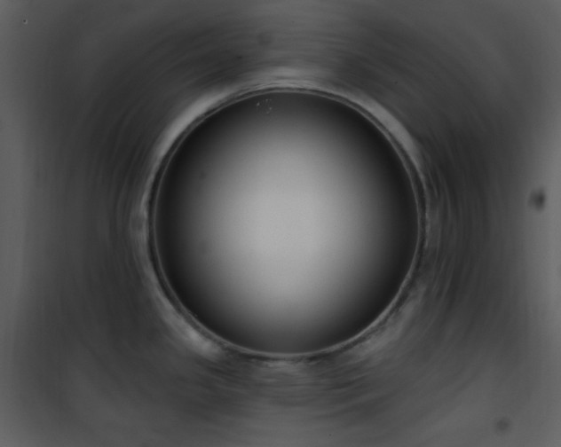 X0000102001341200807181156