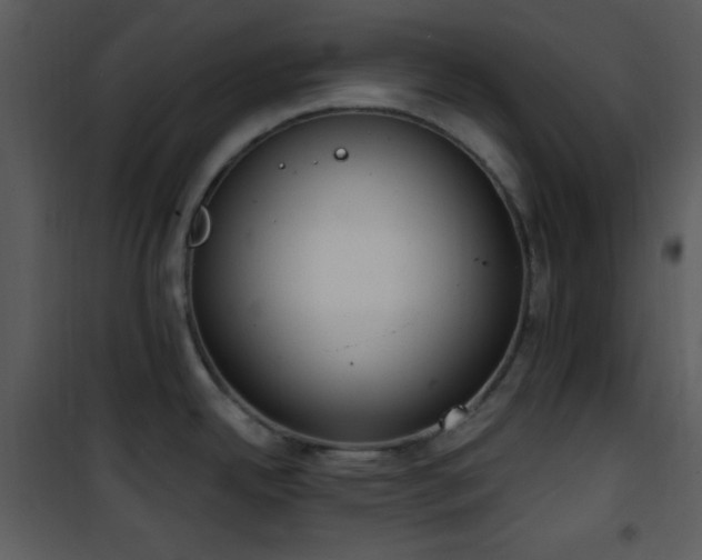 X0000102001342200807181156