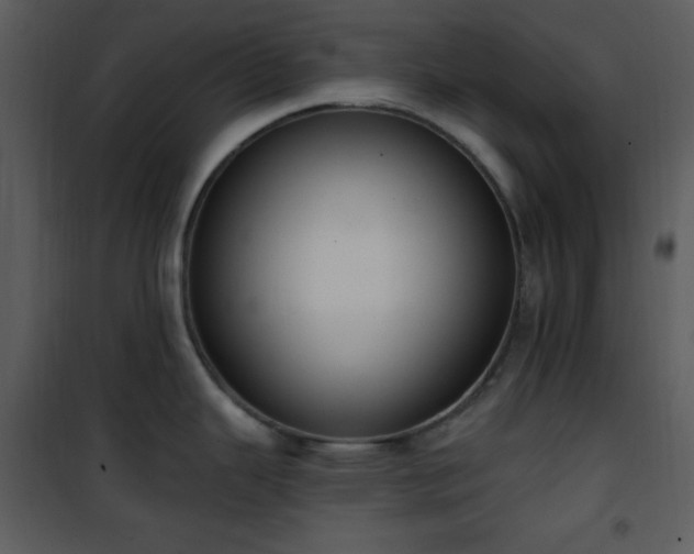 X0000102001343200807181156