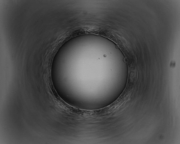 X0000102001345200807181155