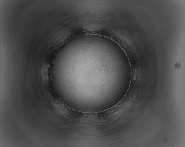 X0000102001346200807181155