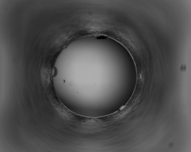 X0000102001348200807181155