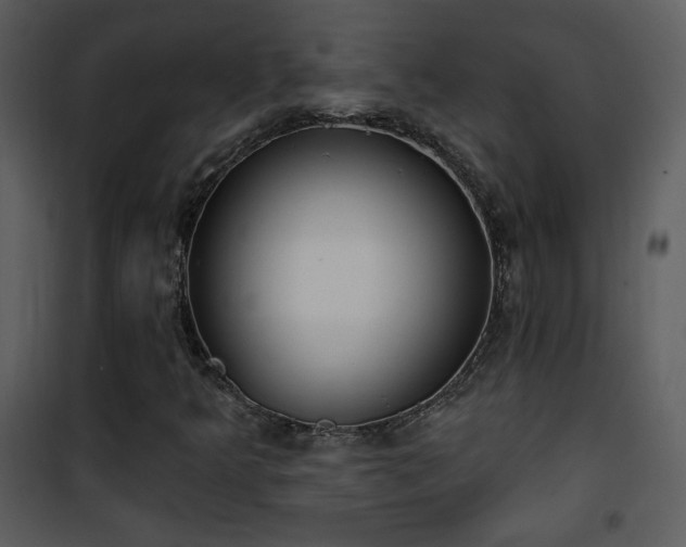 X0000102001349200807181155