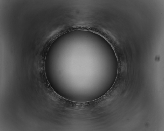 X0000102001350200807181155