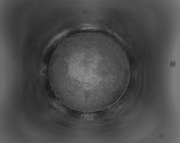 X0000102001351200807181155