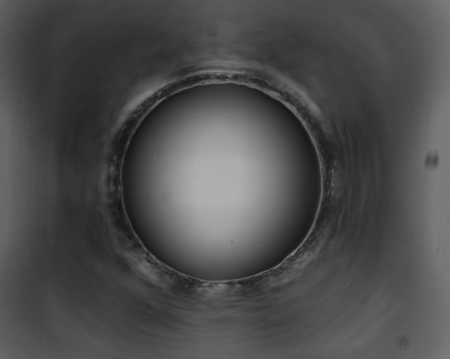 X0000102001352200807181155