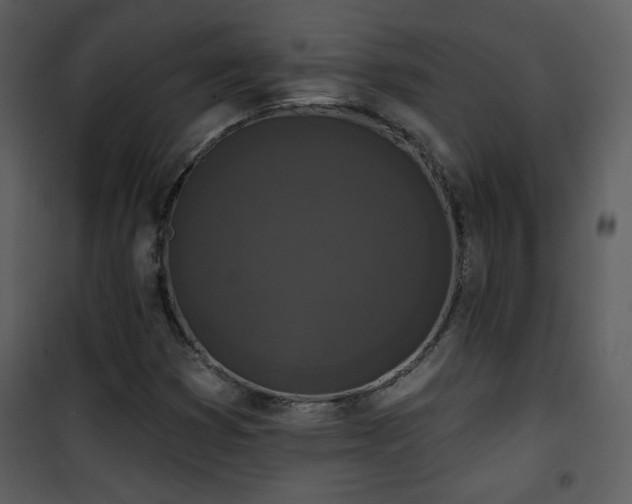 X0000102001353200807181155