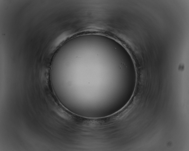 X0000102001355200807181155