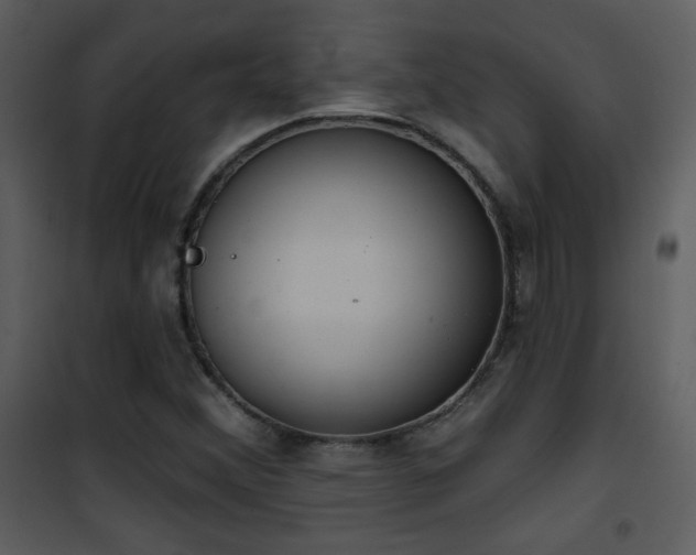 X0000102001356200807181155