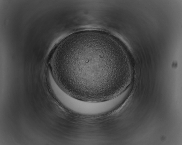 X0000102001357200807181155