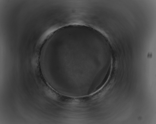 X0000102001359200807181155