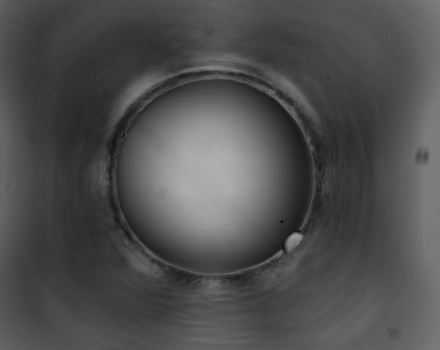 X0000102001360200807181155