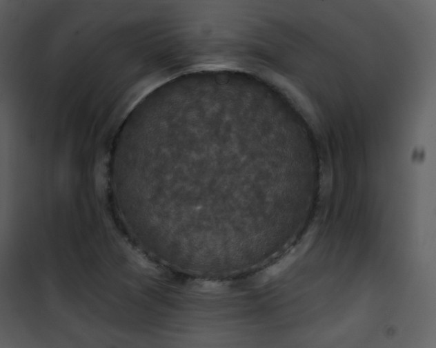 X0000102001361200807181155