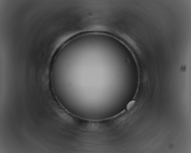 X0000102001364200807181155