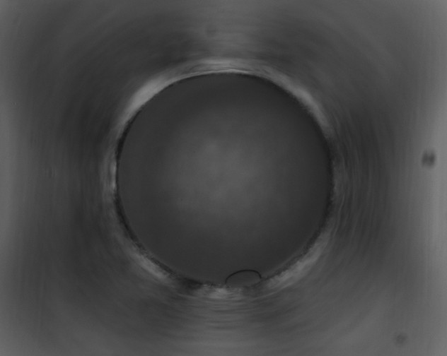 X0000102001365200807181155