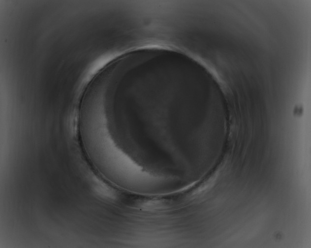 X0000102001367200807181155