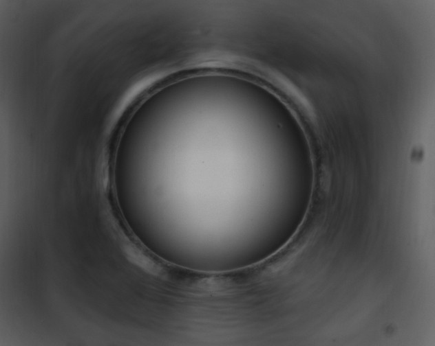 X0000102001368200807181155