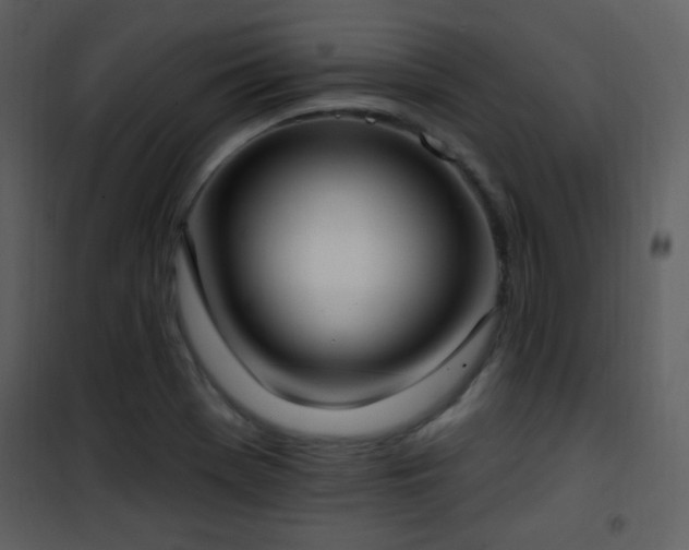 X0000102001369200807181155